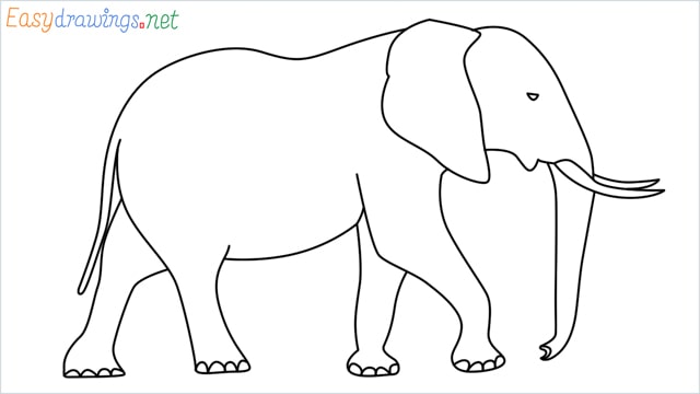 How to draw a elephant step by step for beginners