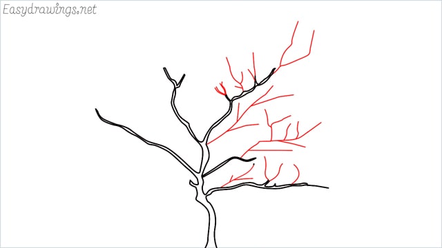 how to draw a apple tree step (3)