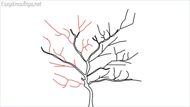 how to draw a apple tree step (4)
