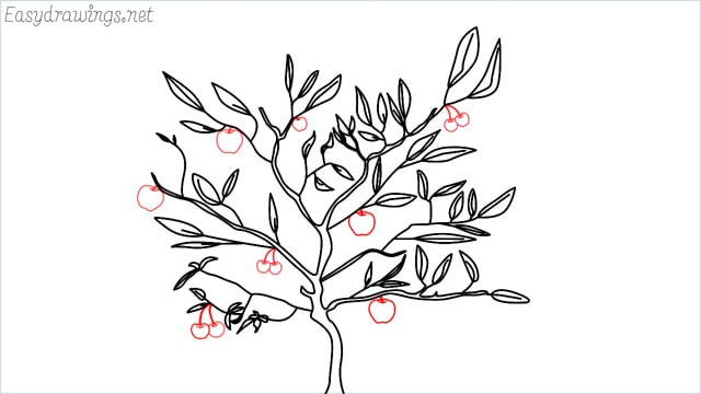 how to draw a apple tree step (6)