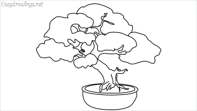 how to draw a bonsai tree drawing step by step for beginners