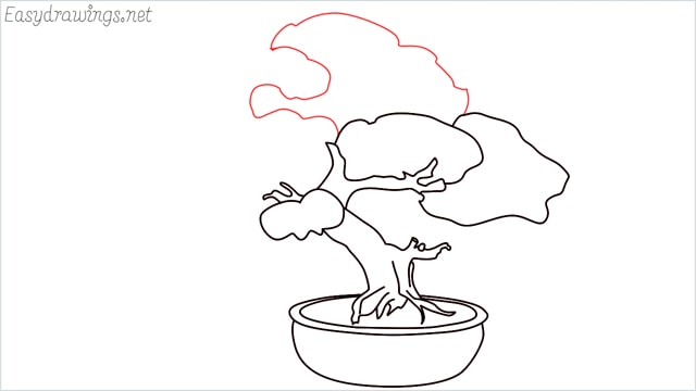 how to draw a bonsai tree step (10)