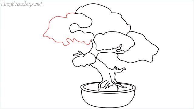 how to draw a bonsai tree step (11)