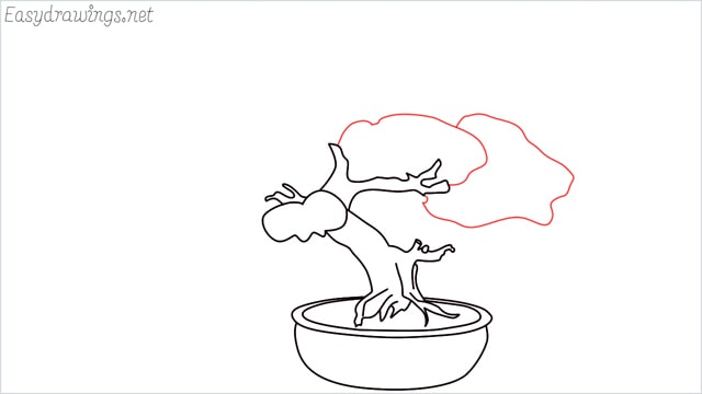 how to draw a bonsai tree step (9)