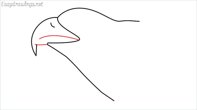 how to draw a eagle head step (5)