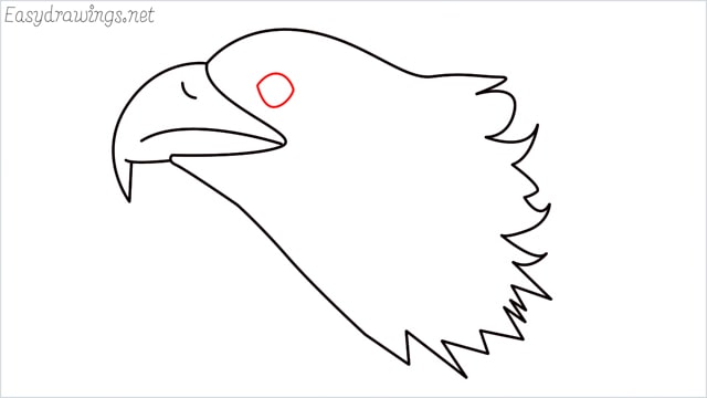 how to draw a eagle head step (7)