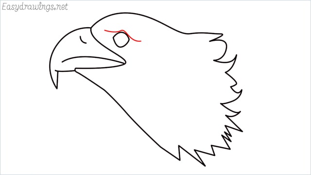how to draw a eagle head step (8)