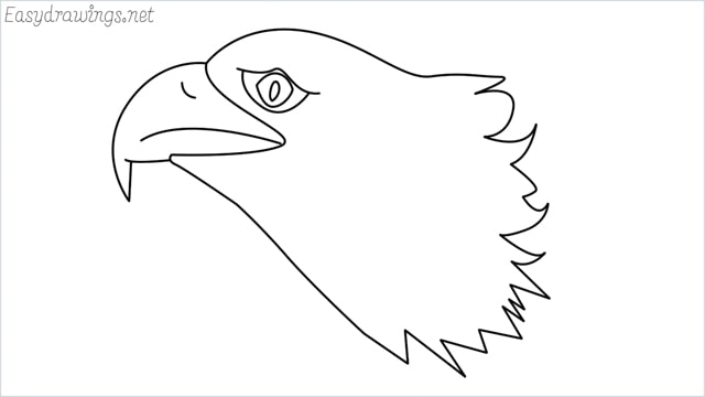 how to draw a eagle head step by step for beginners