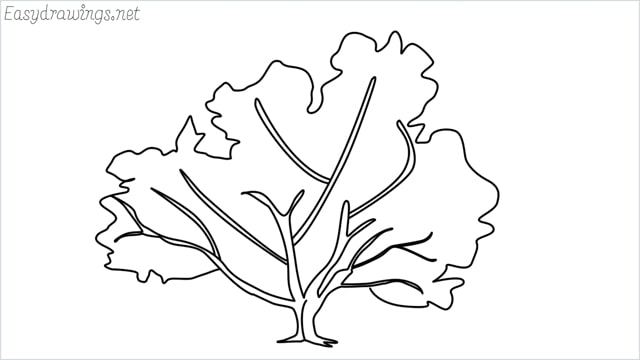 how to draw a fall tree drawing step by step for beginners
