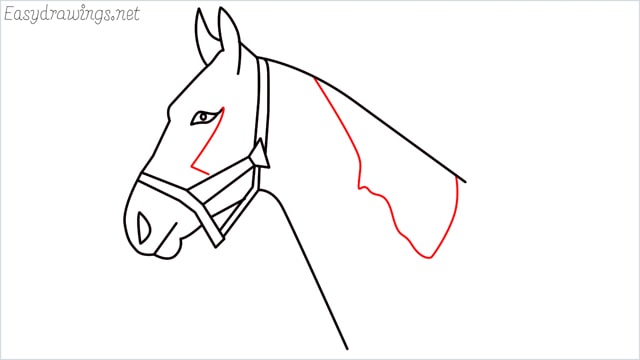 how to draw a horse head step (10)