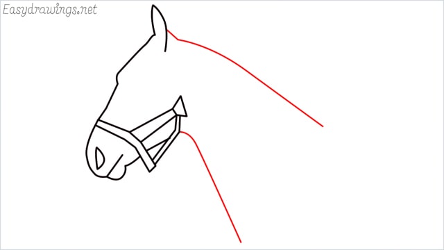 how to draw a horse head step (7)