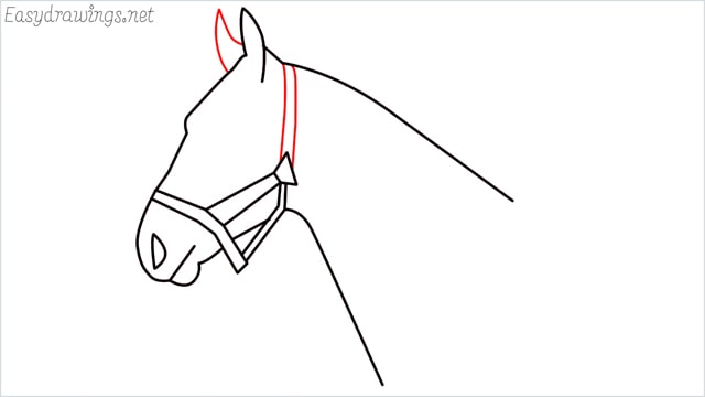 how to draw a horse head step (8)
