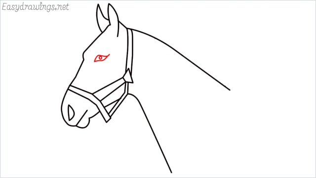 how to draw a horse head step (9)