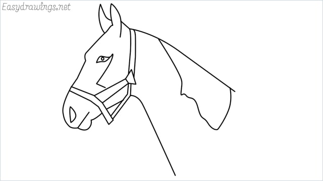 how to draw a horse head step by step for beginners