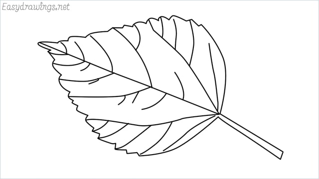how to draw a leaf drawing step by step for beginners