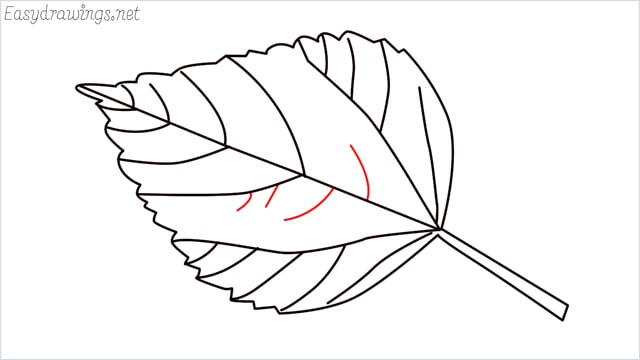 how to draw a leaf step (10)