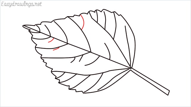 how to draw a leaf step (11)