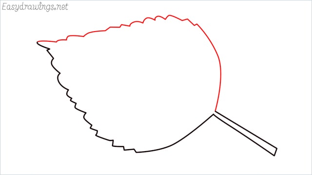 how to draw a leaf step (4)
