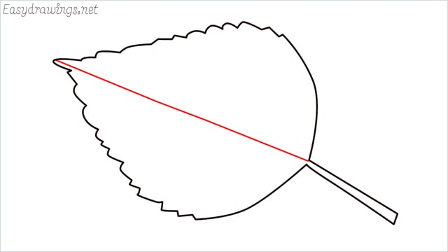 how to draw a leaf step (5)