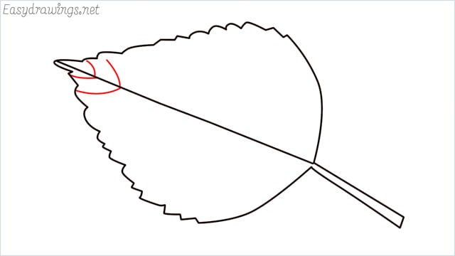 how to draw a leaf step (6)
