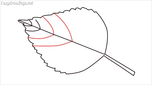 how to draw a leaf step (7)