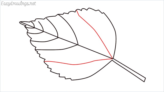 how to draw a leaf step (8)