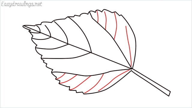 how to draw a leaf step (9)