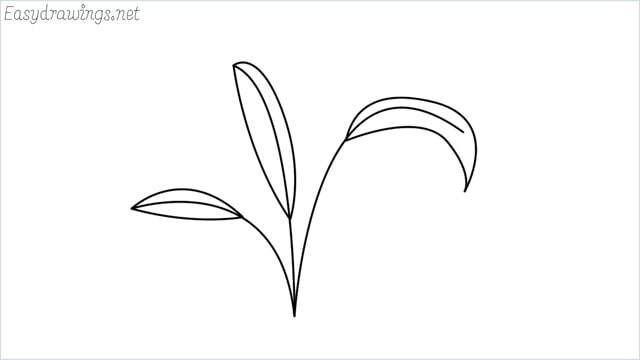 how to draw a little bush drawing step by step for beginners