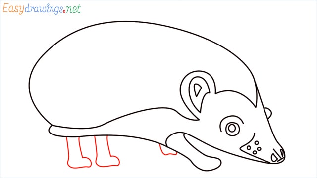 how to draw a hedgehog step (10)