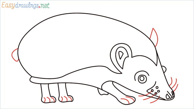 how to draw a hedgehog step (11)