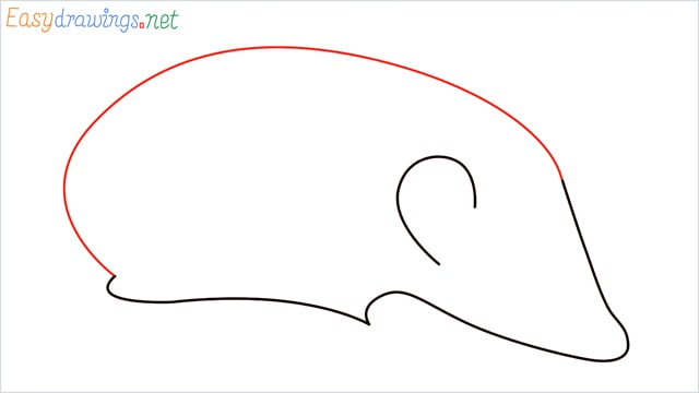 how to draw a hedgehog step (3)