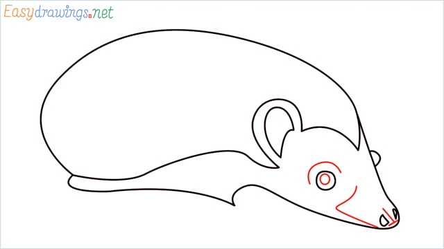 how to draw a hedgehog step (7)