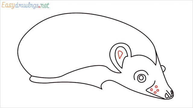 how to draw a hedgehog step (8)