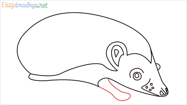 how to draw a hedgehog step (9)