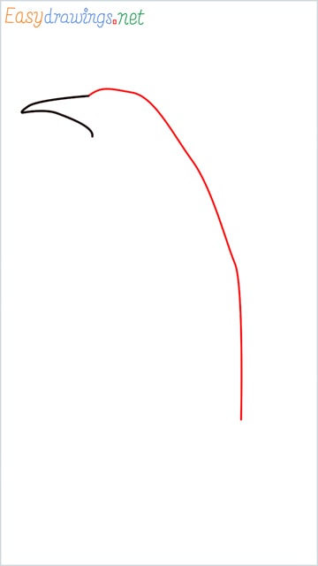 how to draw a penguin step (2)