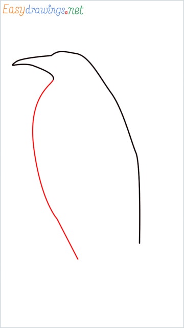 how to draw a penguin step (3)
