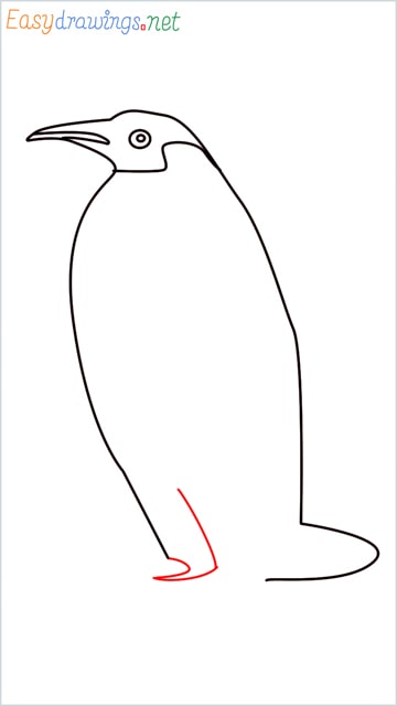 how to draw a penguin step (7)