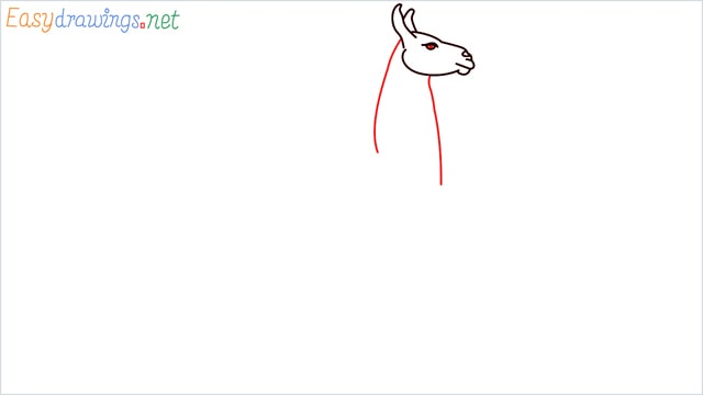 How to draw a Llama step (5)