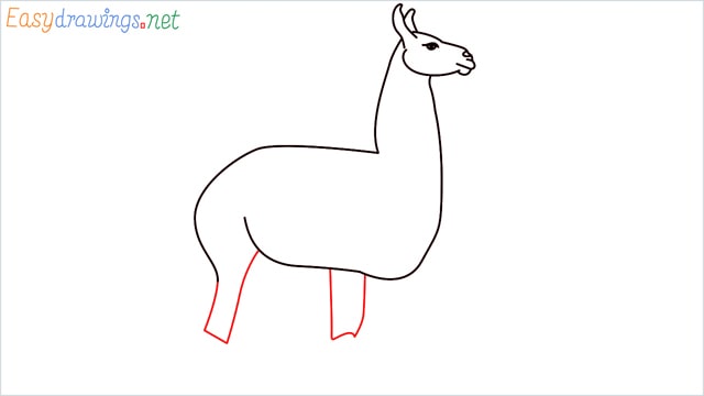 How to draw a Llama step (7)