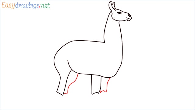 How to draw a Llama step (8)