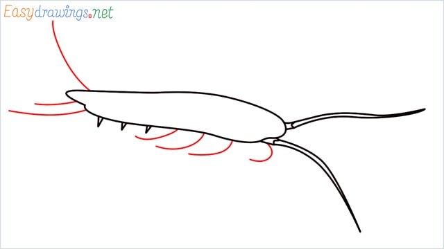 How to draw a Silverfish step (4)