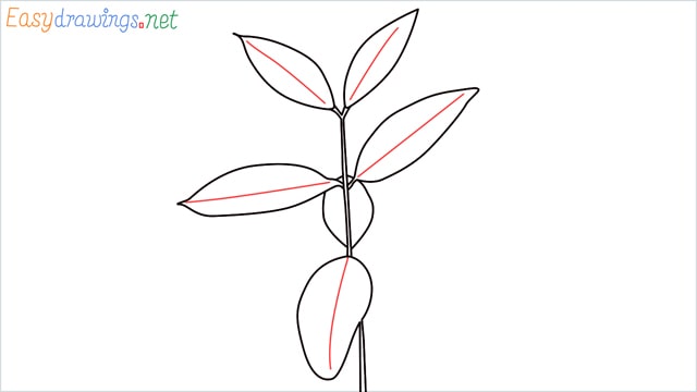 how to draw a chilli tree step (6)