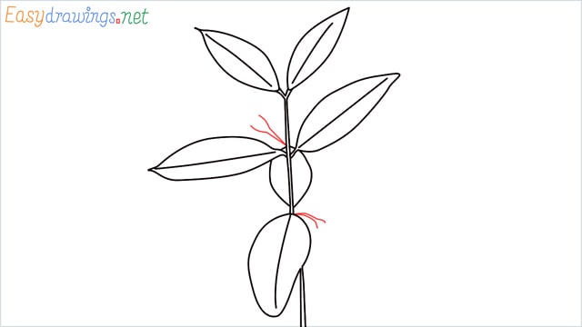 how to draw a chilli tree step (7)