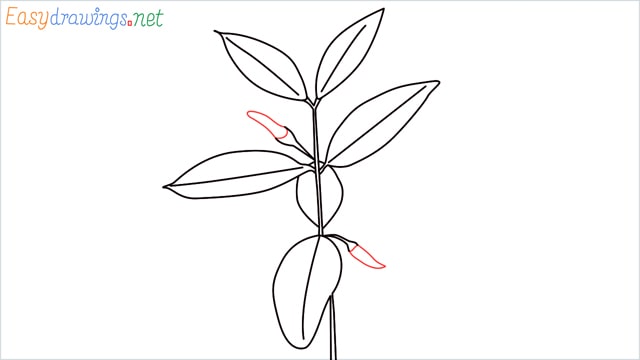 how to draw a chilli tree step (8)