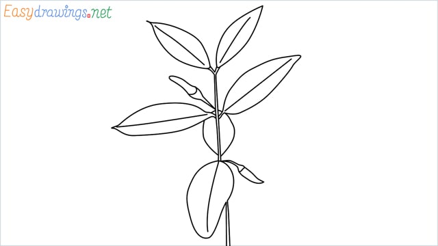 how to draw a chilli tree step by step