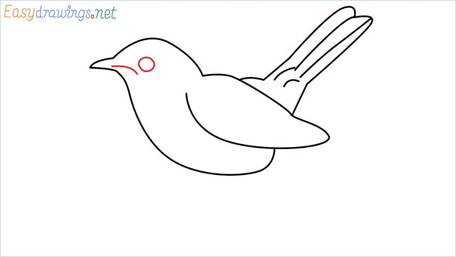 how to draw a lark step (6)