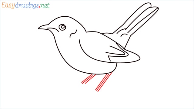 how to draw a lark step (8)