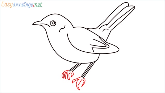 how to draw a lark step (9)