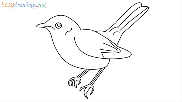 how to draw a lark step by step