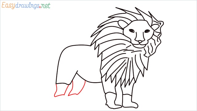 how to draw a lion step (12)